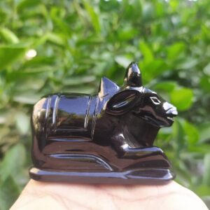 Black Nandi