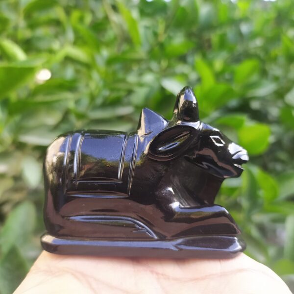 Black Nandi