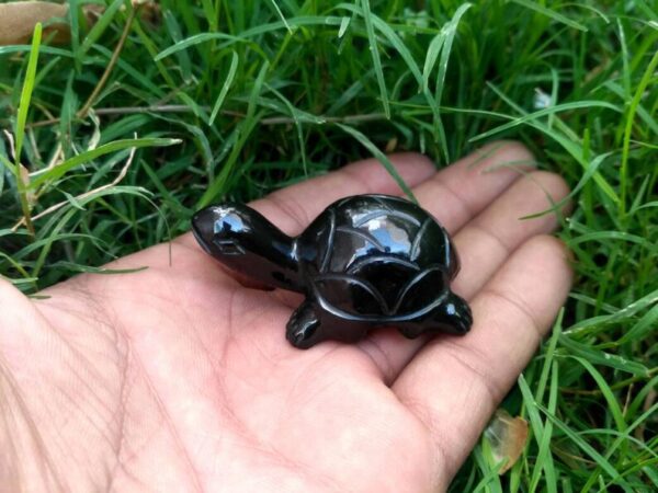 Black stone turtle