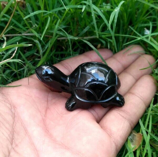 Black stone turtle