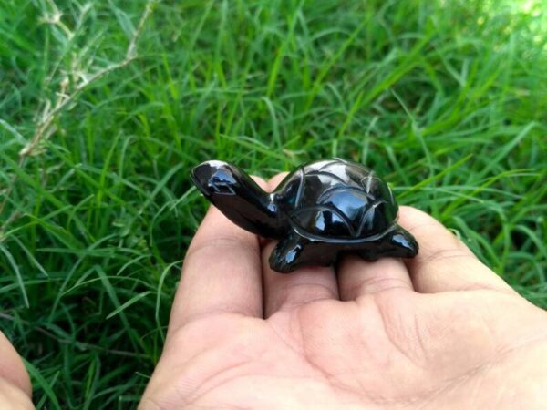 Black stone turtle