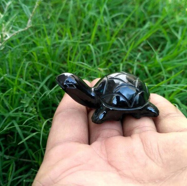 Black stone turtle