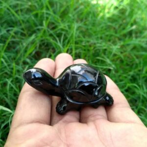 Black stone turtle