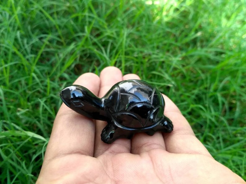 Black stone turtle